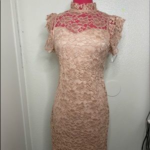 Enfocus fitted body-con Crochet lace-over dress